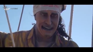 Экскурсия на пиратском корабле Flipper Uno, дельфины Канарские Острова Лос Гигантес