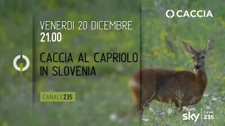 CACCIA AL CAPRIOLO IN SLOVENIA