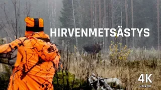 Moose Hunting in Finland 2018