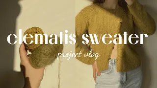knit with me clematis sweater | test knitting, yarn, and pattern review | project vlog by kniteryna