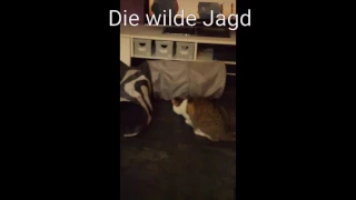 Die wilde Jagd!