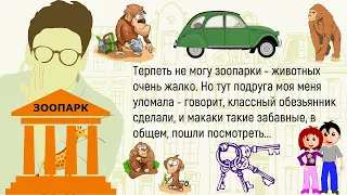 🏠Сидим Как-То С Тестем На Даче...Сборник Новых Смешных Историй Из Жизни,Для Супер Настроения!