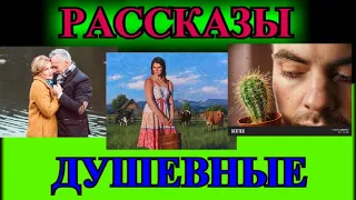 ДУШЕВНЫЕ  РАССКАЗЫ❤️ПОЗДНЯЯ ЛЮБОВЬ❤️ВСЁ С НУЛЯ❤️ПЛЕМЯННИЦА❤️ДВУХКОЛЁСНОЕ СЧАСТЬЕ@TEFI РАССКАЗЫ