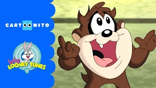 Baby Looney Tunes | Supermarket Fun | Cartoonito