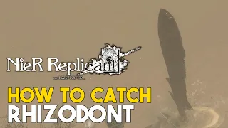 Nier Replicant (2021) How To Catch Rhizodont Legendary Fish (Fish Of Legend Trophy Guide)