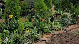 my back garden today