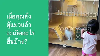 เมื่อสั่งตู้แมวแล้วร้านค้าทำอะไรบ้าง? by Peterior (เพ็ททีเรีย)