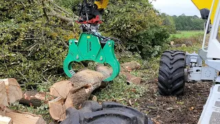 Hanseatic Treework - Holzspalten mit Menzi Muck