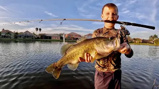 We Found some Giants in a local Pond (Catch & Cook)