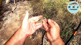 Micro fishing in the Campaspe River