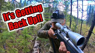 Dangerous Bear Hunting in Northern British Columbia - Catch Clean and Cook