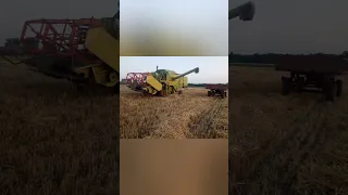 Żniwa 2023 w Wielkopolsce.Jęczmień ozimy.Claas consul w akcji#claas#sound