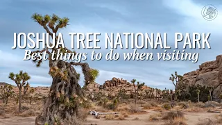 My Top 10 Things to do in Joshua Tree National Park California