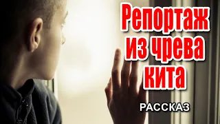 ✔Очень интересный рассказ - Репортаж из чрева кита. Светильник № 22, 2-2020 год.