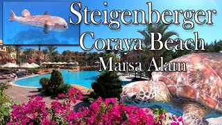 Urlaub und Schnorcheln im Hotel Steigenberger Coraya Beach / Marsa Alam