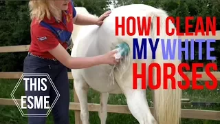 How I clean my white horses | This Esme