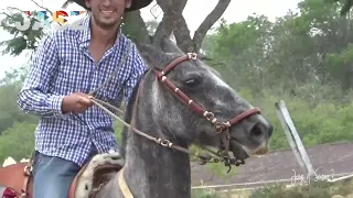 INVITACION 2023 FERIA DEL CABALLO