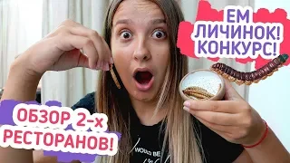 Узнали вкус личинок зофобаса / Обзор 2-х киевских ресторанов / Конкурс! | Vlada Fm