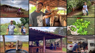 FOMOS NO SÍTIO DO NOSSO AMIGO LEVAR UM PRESENTE PARA ELE|SÁBADO ABENÇOADO E CHEIO DE MUITA FARTURA🙏🏼