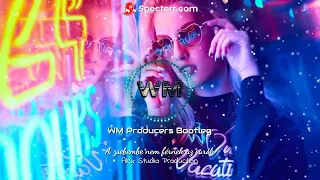 A Zsebembe nem férnek az eurók - Alex Studio Production (WM Producers Bootleg)