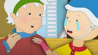 At Grandma's House | Caillou Cartoon