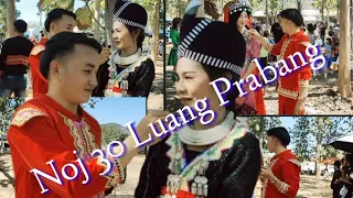 Noj 30 Nyob Luam Phab Npa (Luang Prabang) Hnub Xiab 1 nawb 2020 #1