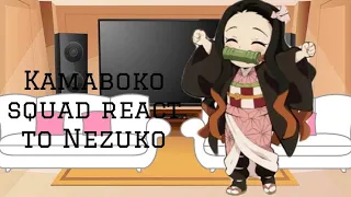 Kamaboko Squad React to Nezuko Kamado || Early Nezuko Birthday Special || 1/1