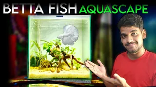 Betta Planted Aquarium (Low Tech Aquascape Tutorial)