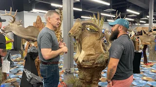 Oklahoma Taxidermy Competition 2022 - Showroom Walkthrough