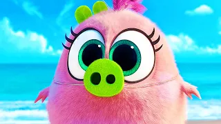 THE ANGRY BIRDS MOVIE 2 Clip - "Opening Scene" (2019)