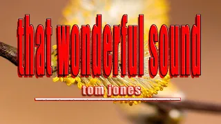 THAT WONDERFUL SOUND  [ karaoke version ] popularized by tom jones