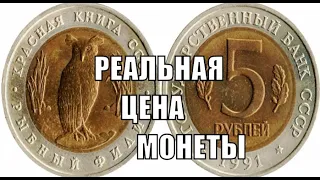 5 рублей Рыбный филин 1991 СССР Реальная цена монеты сегодня