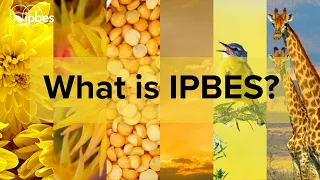 Introduction to IPBES