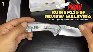 Ruike P135 SF Review (Malaysia)