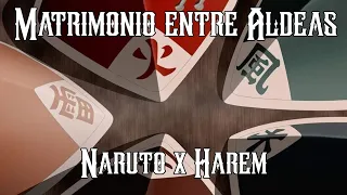 Matrimonio entre Aldeas - Capitulo 8 | (Naruto x Harem)