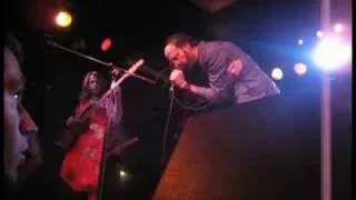 Silver Jews - Trains Across the Sea (live)