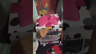 Opening the self opening Present Pet