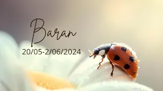 Baran ♈ 20/05-2/06/24 🐞 Zobaczysz wszystko jasno i wyraźnie. Czas na przemyślane, odważne decyzje 🌞