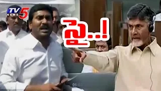 CM Chandrababu Challenges YS Jagan Over Agri Gold Scam | AP Assembly | TV5 News