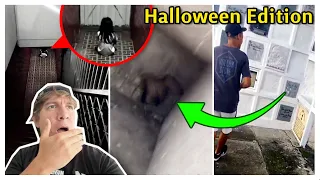 Unexpected Encounters That Will Creep You Out