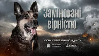 Заміновані вірністю (2017)