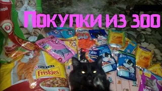 Покупки из зоомагазина для кошки🐈