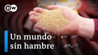 Comida para todos - El futuro de la alimentación | DW Documental