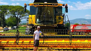 Combine harvester CX8.90 New Holland MY19