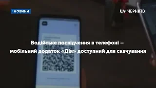 Водійське посвідчення в телефоні – відсьогодні мобільний додаток «Дія» доступний для скачування