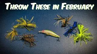 My Top Bait Finesse Lures for February (BFS)