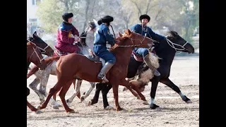 Көкпар аты қалай бапталады? How to prepare a horse for kokpar