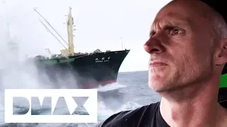 Ady Gil Successfully Disables Whaling Factory Ship | Whale Wars