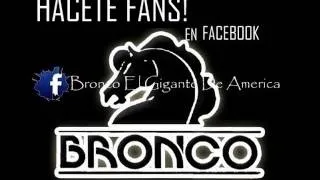 Bronco Amor salvaje