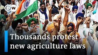 Agriculture reform: Will new laws destroy Indian farmers' livelihoods? | DW News